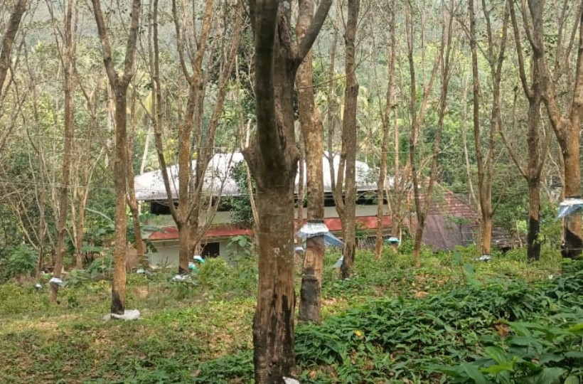 Kaliyal - Nedumangad  High way || 2.5 acres || 40 000 Per cent